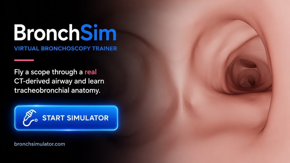 BronchSim free virtual bronchoscopy simulator — a bronchoscope flying through a 3D CT-derived airway toward the carina